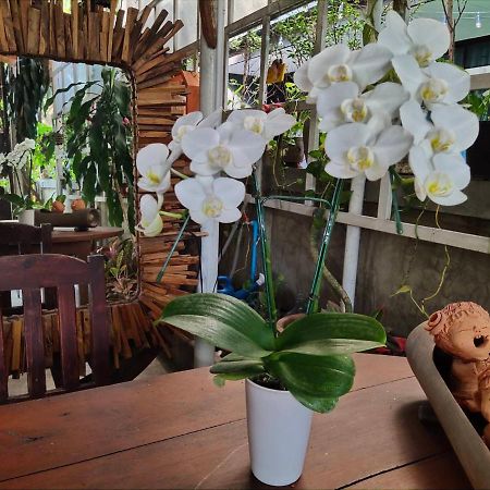 Aunt & Uncle'S House Bed & Breakfast Chiang Mai Bagian luar foto