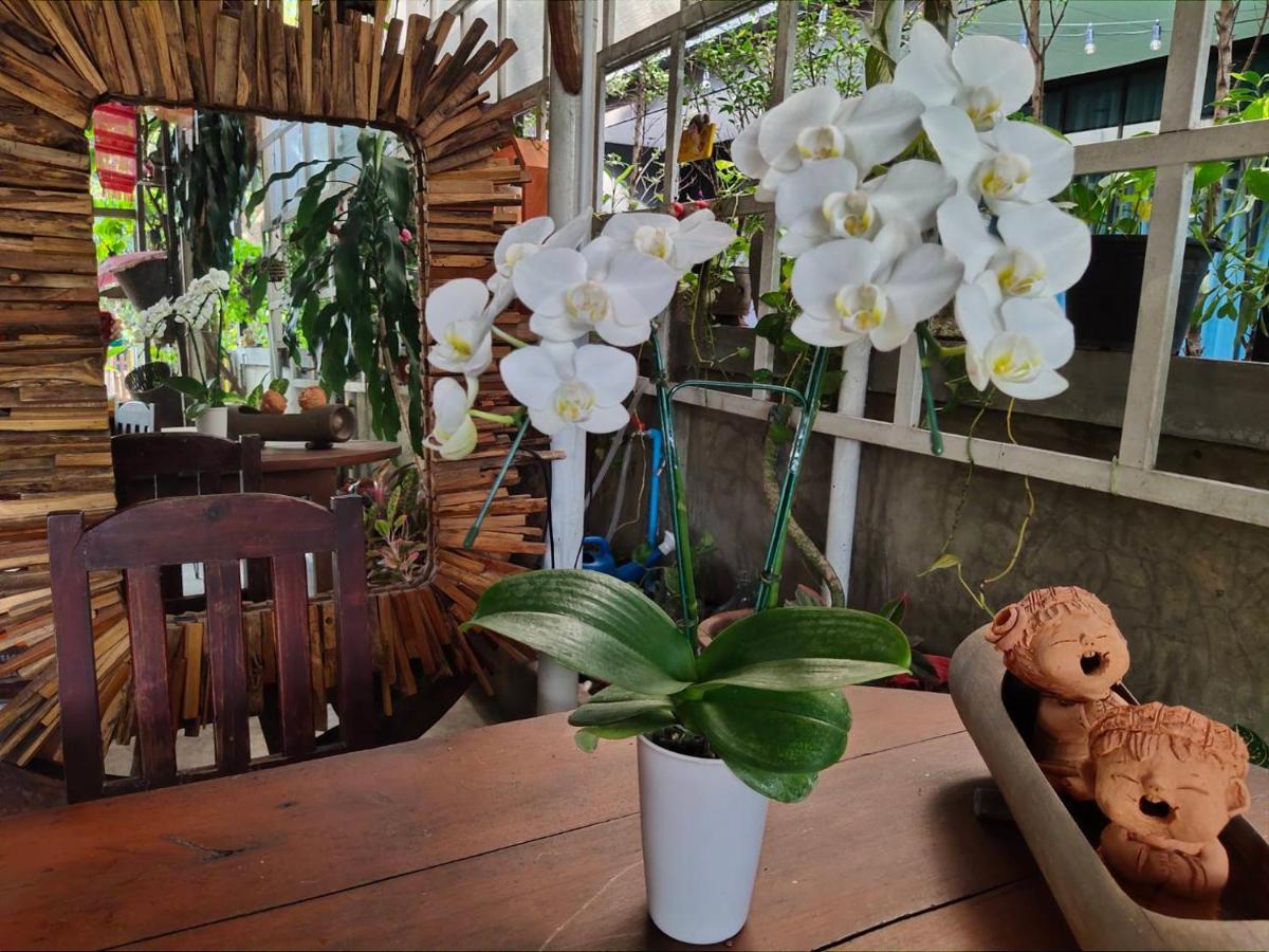 Aunt & Uncle'S House Bed & Breakfast Chiang Mai Bagian luar foto